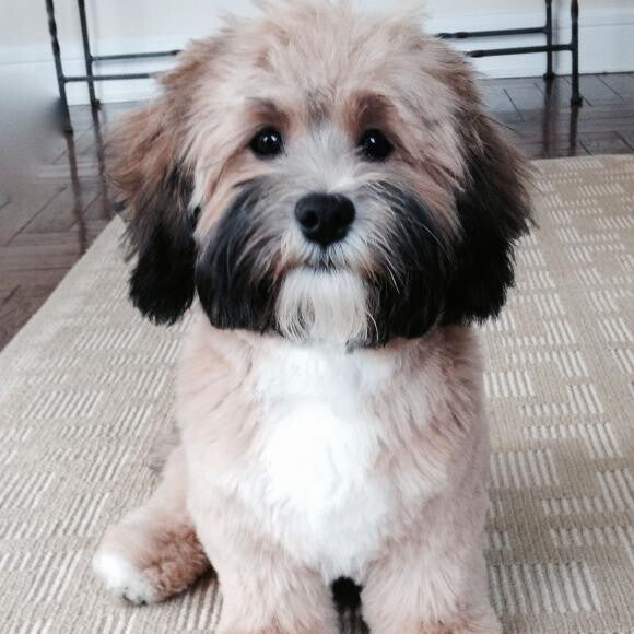 This is Jackson at 5 months