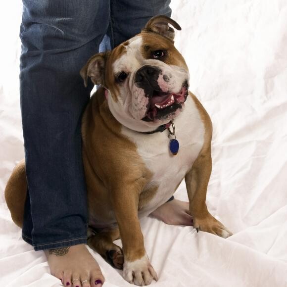 Bella Fiona