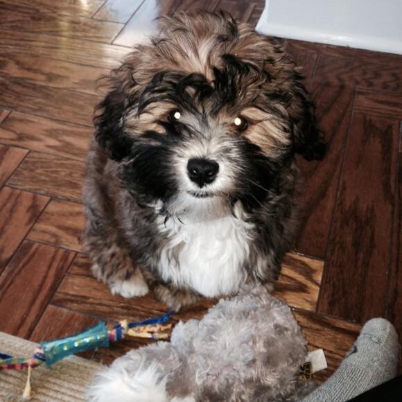 Here is Jackson at 3 months