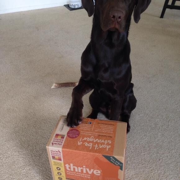Remi and his staple THK product - THRIVE!
