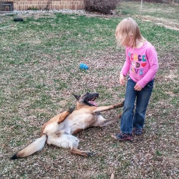 Scratch my belly, small human!
