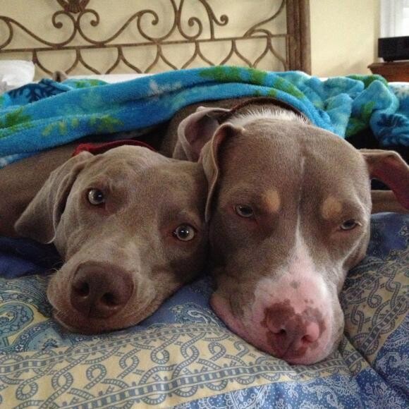 Our Girls!
