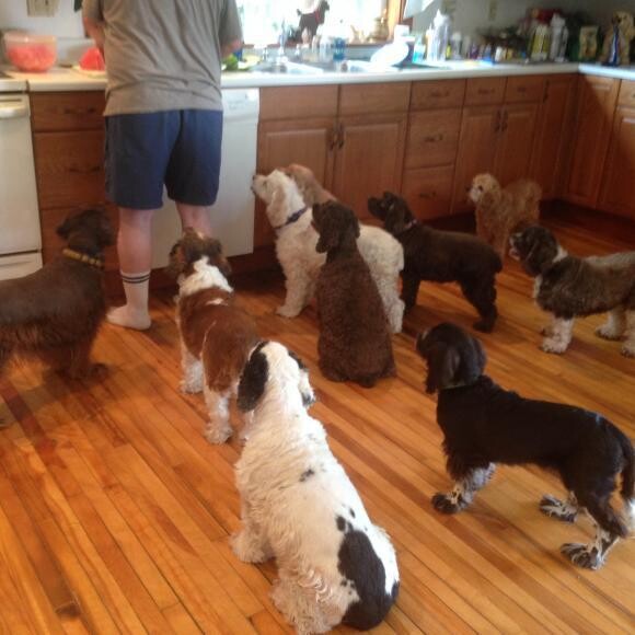 Waiting for supper!!!!