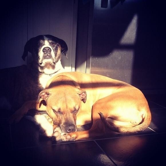 Sisters.
