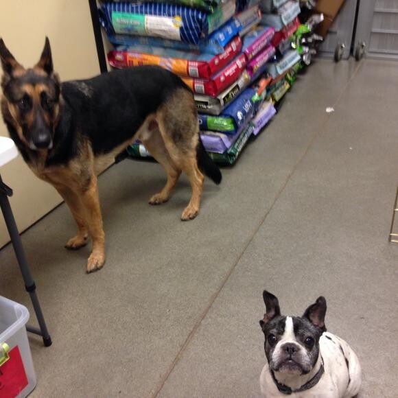 Hanging out with my friend Trigger!