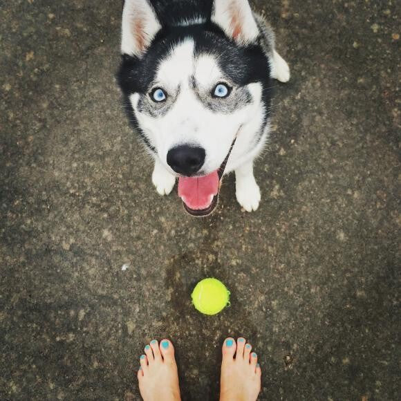 Fetch!