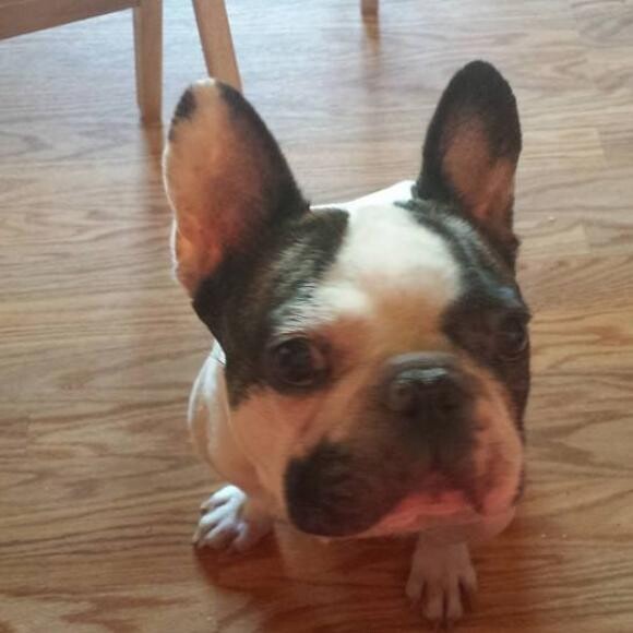 Is it time for dinner?
