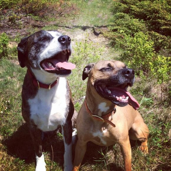 Sophie and Eva.