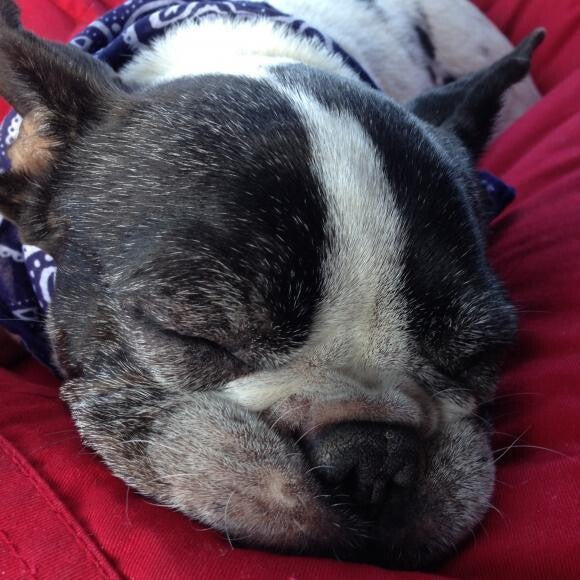 Sleeping in my favorite bean bag chair!