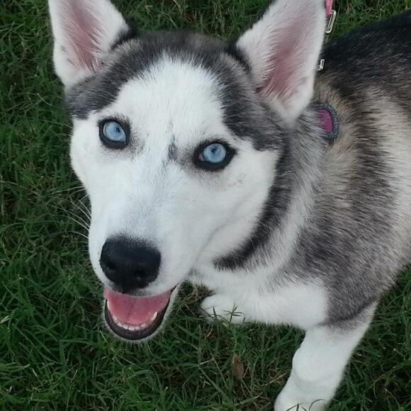First Day of Adoption!