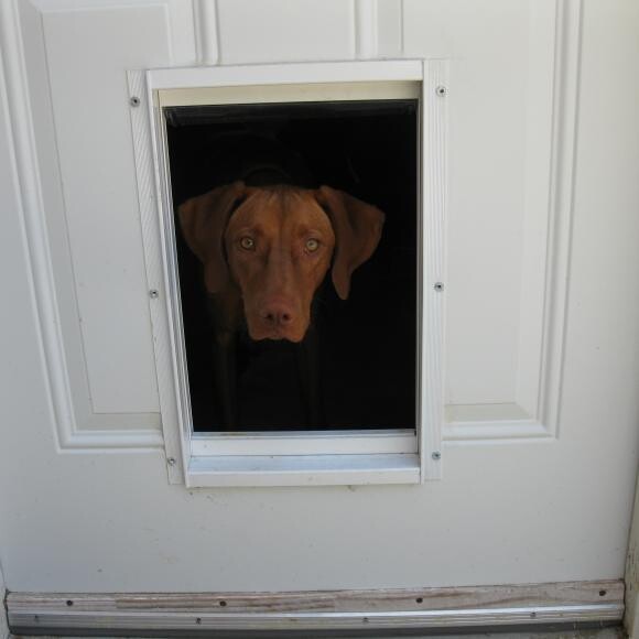 Figuring out the Lucy door