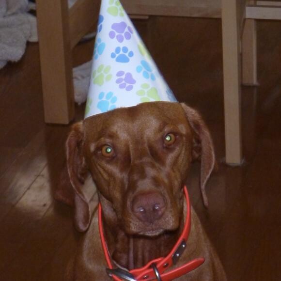 The reluctant birthday girl