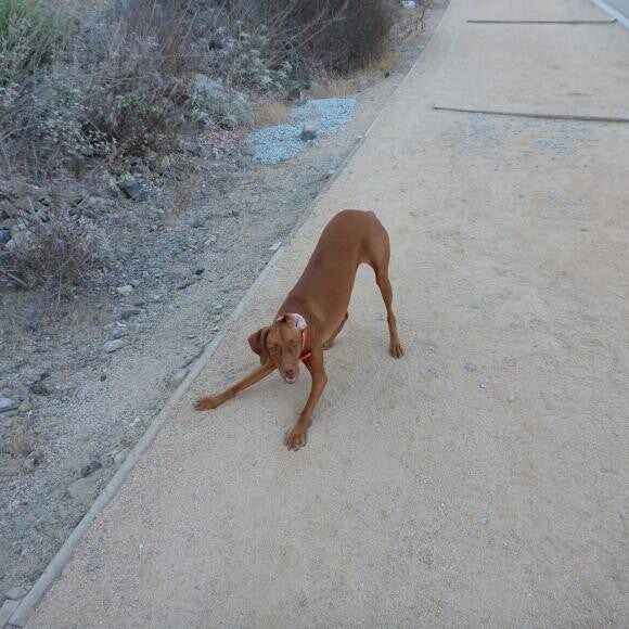 Let's play!