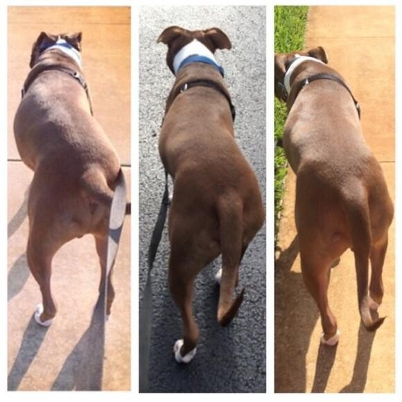 first pic- 3 months ago nsecond pic- 2 weeks in nthird pic- 1 week ago