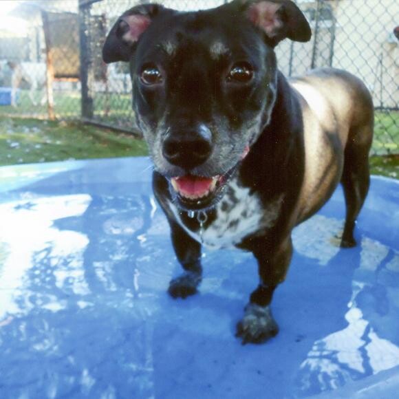 In the pool, at day camp