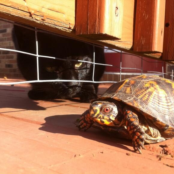 Curiosity!