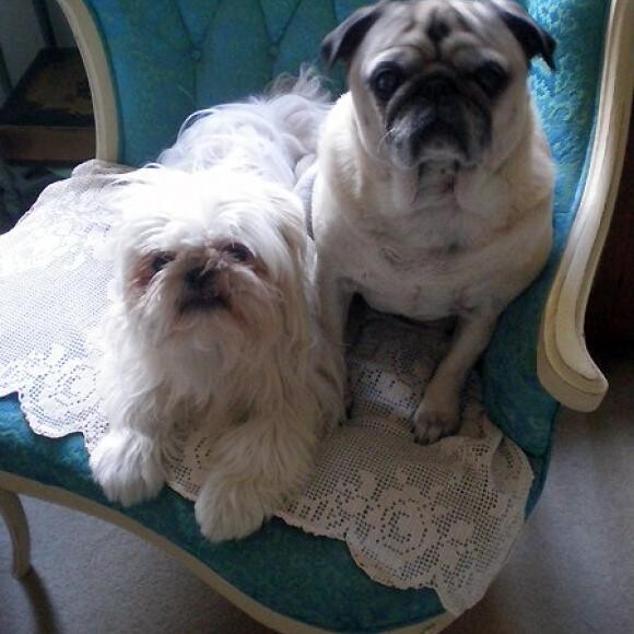 Besties for life.