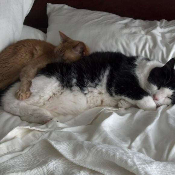 Moe and Timmy