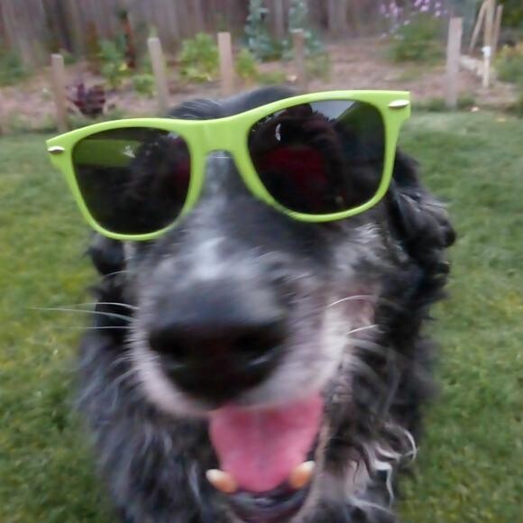 Ready for my close-up!