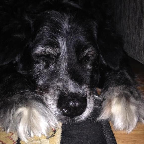 Nap time rules.