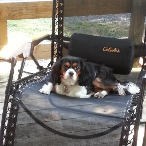 Tucker loves to go camping!!