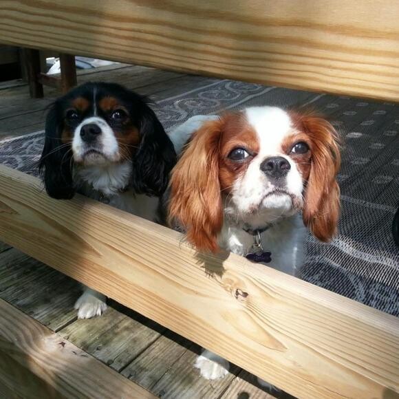 Tucker loves his sister Molly!!