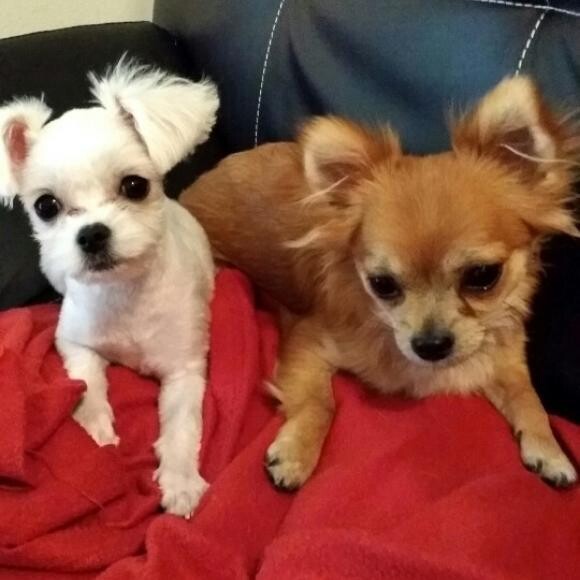 Chu with his best friend!