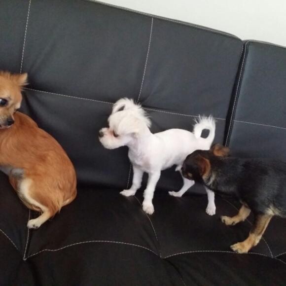 Chu being able to play with his friends, thanks to his healthy food.
