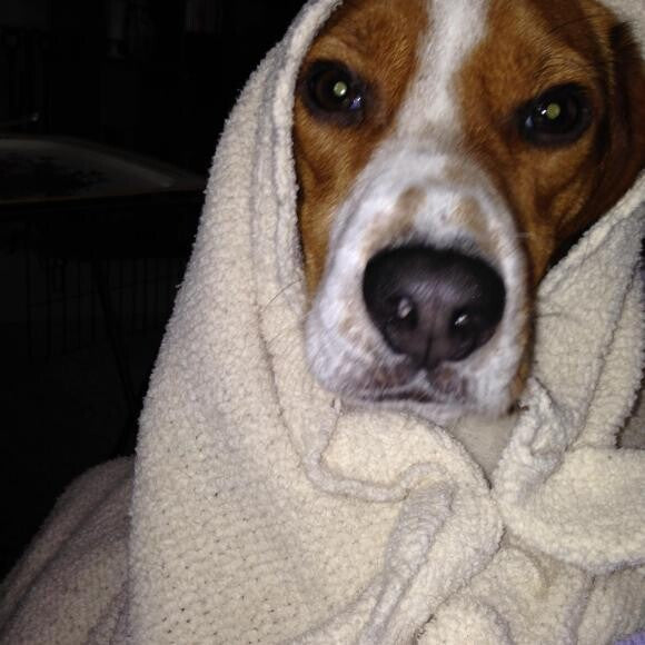 I love blankies!