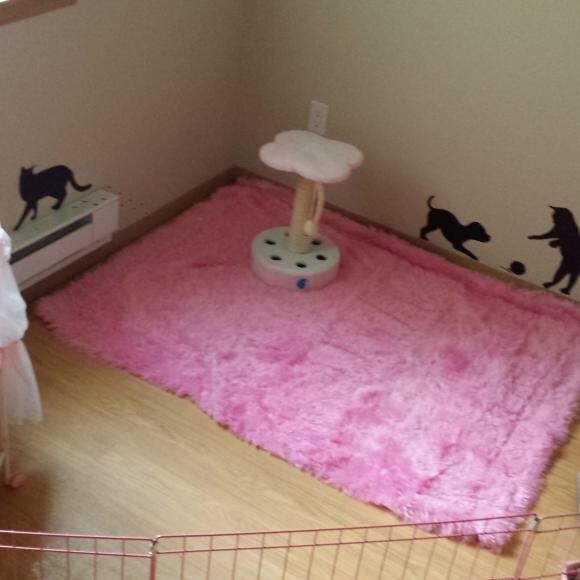 Playroom for Chu and Ryan! Cat tree is on its way to fill the room with more fun