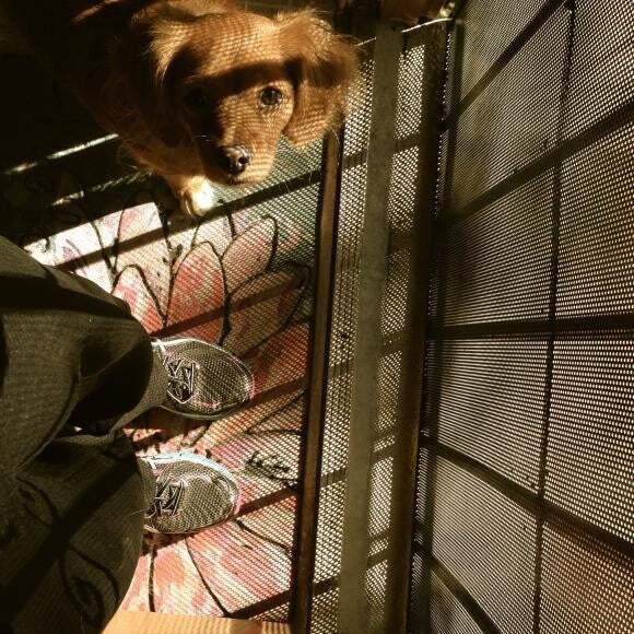 Ember is ready to run!