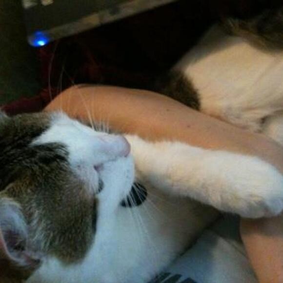 Attila getting a hug