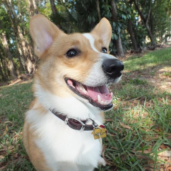 Hi, my name is Marko