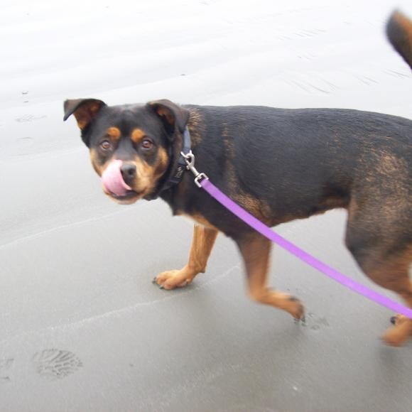 Zoe on Ruby Beach.