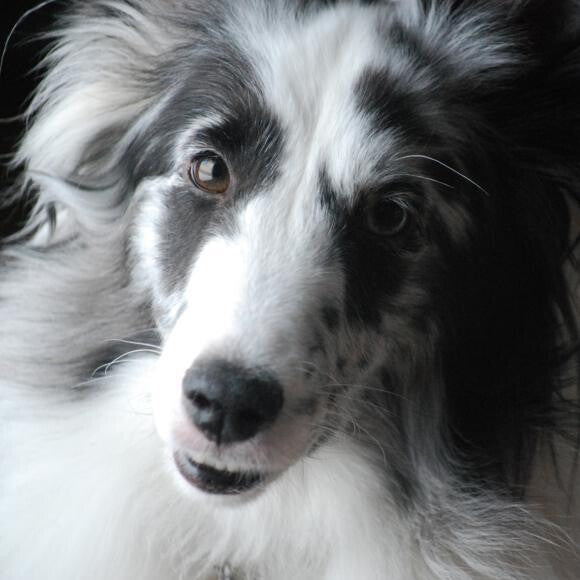 Jenny in one of the rare moments when she holds still enough for a photo.