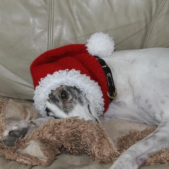 Ready for Christmas!