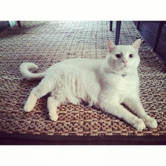 Our handsome man!