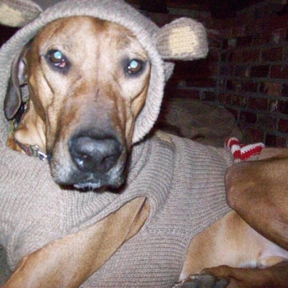 Skauti, Rhodesian Sock Monkey.