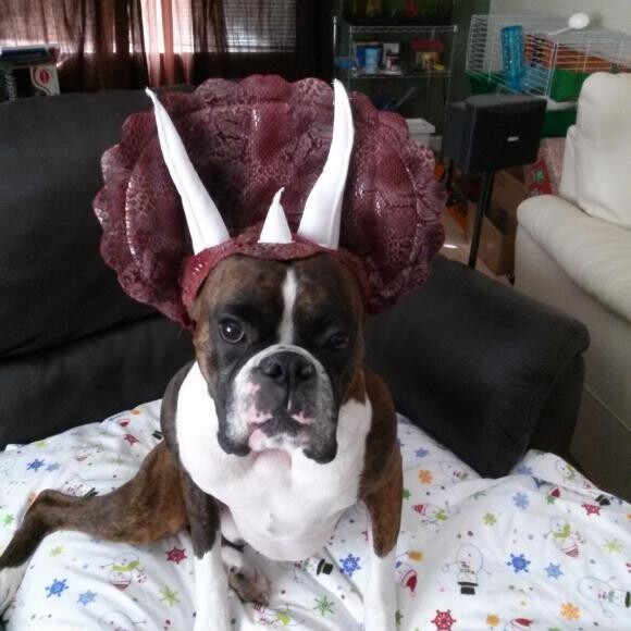 Happy Halloween!!