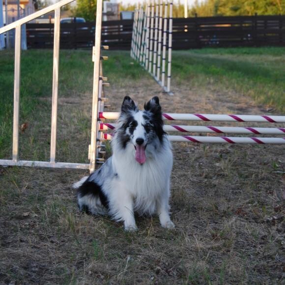 Jenny with her favorite piece of equipment - her beloved triple jump. n