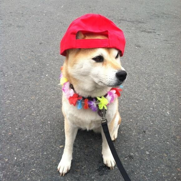 Sachi was a Hawaiian girl at the Cherry Blossom festival!