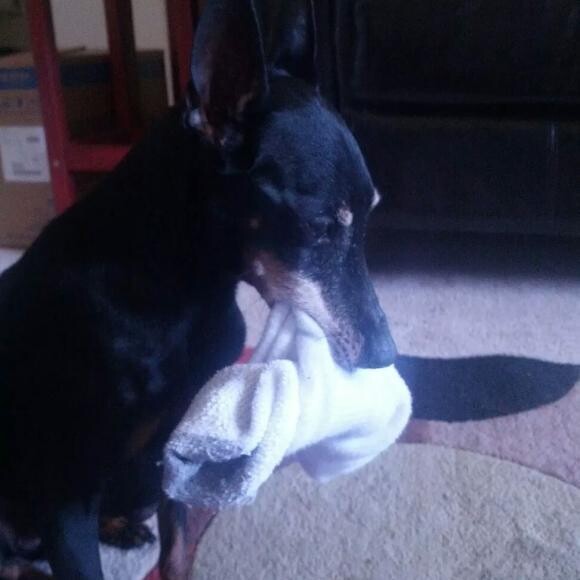 The look of guilt.