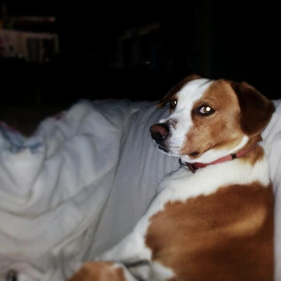 Hes so cute. :)