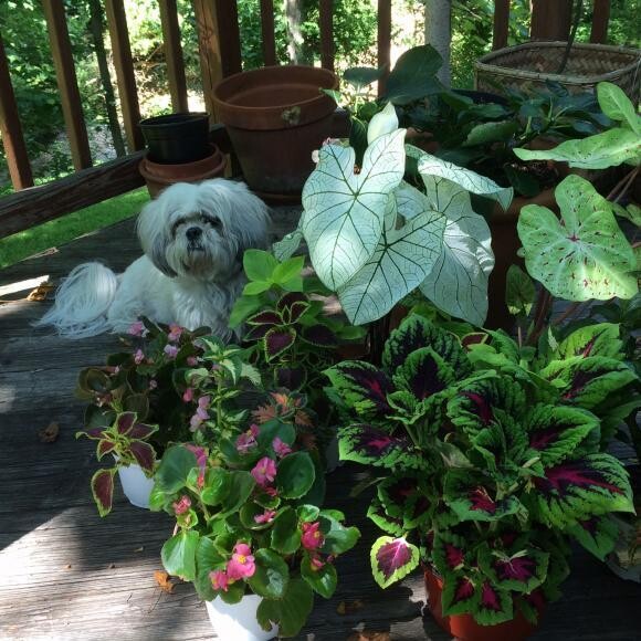 Enjoying the plants
