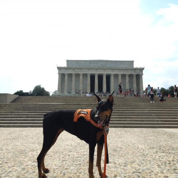 Marley takes me through Washington DC