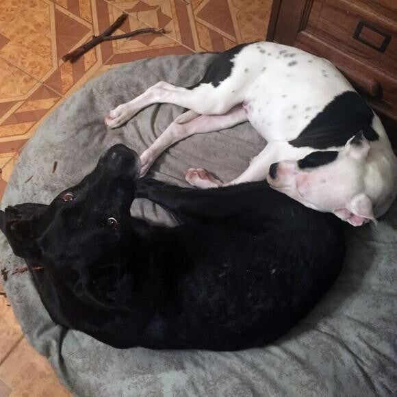With her 'sister' Lilly Pie <3