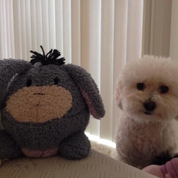 Yuki says 'I think I'm definitely cuter'