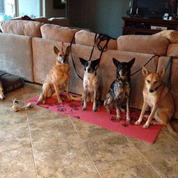 The crew waiting for dinner