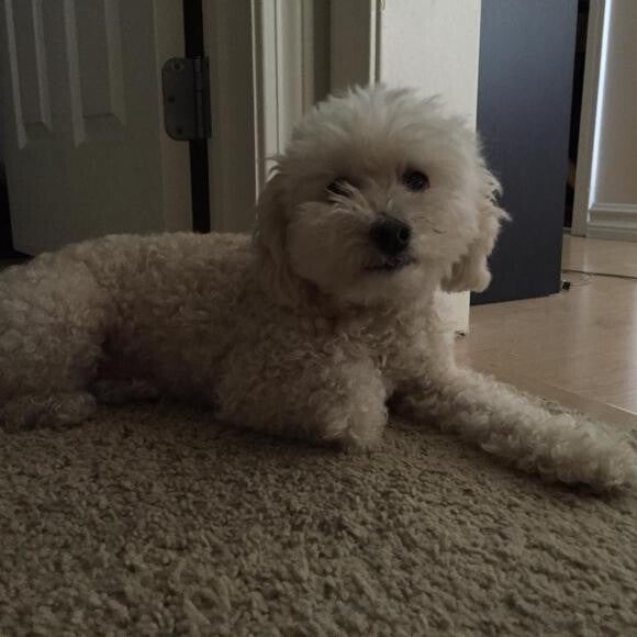 My little girl