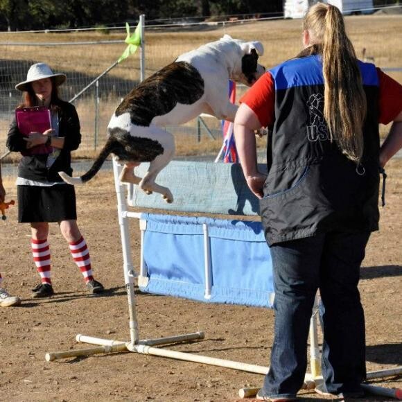 Cuda clears the 1m hurdle with ease